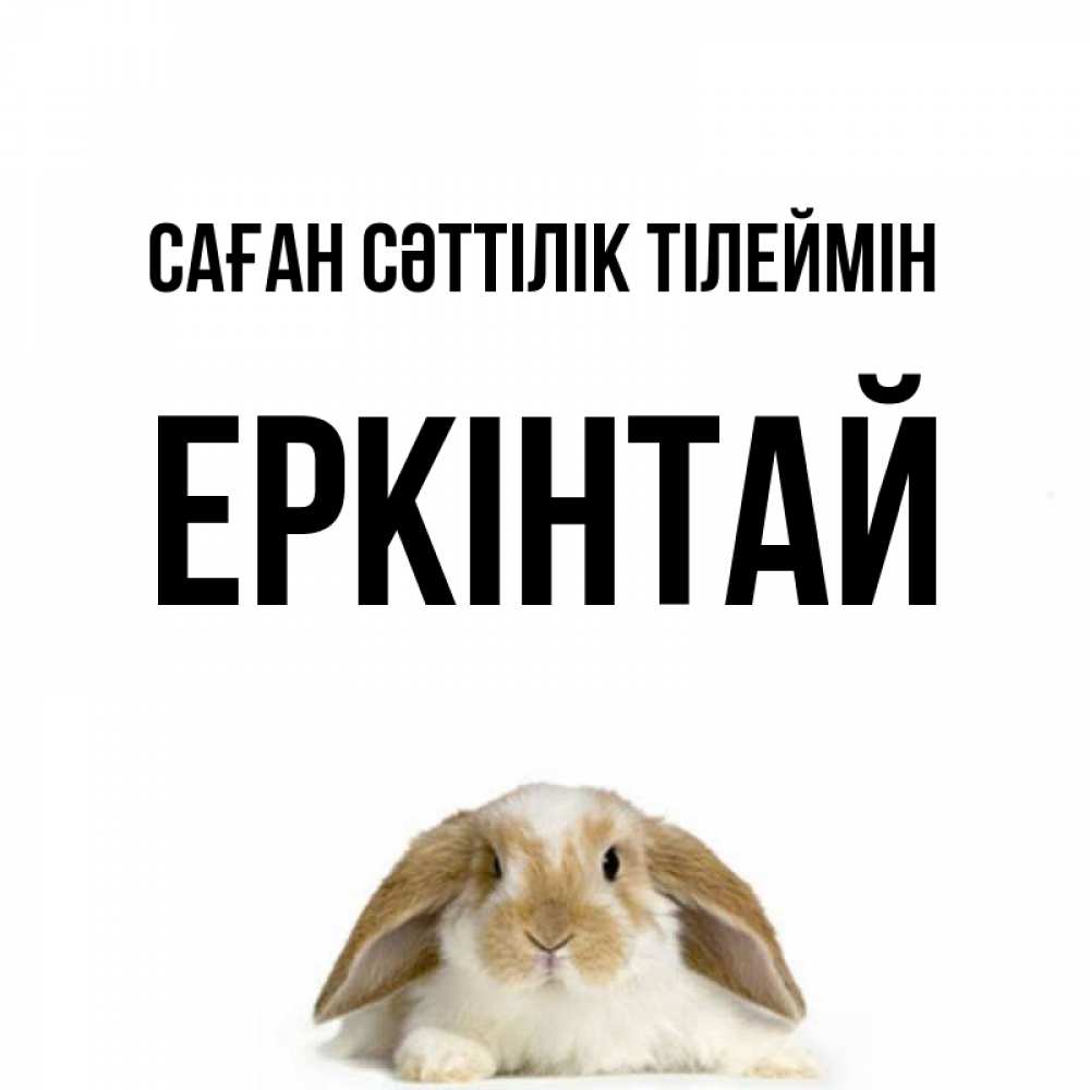 Күн сайын ашық хат с именем, Еркінтай Саған сәттілік тілеймін открытки с произвольным текстом который можно вставить в открытку и создать ее самостоятельно бесплатно онлайн Онлайн тегін жүктеп алу тілектері бар керемет карта 