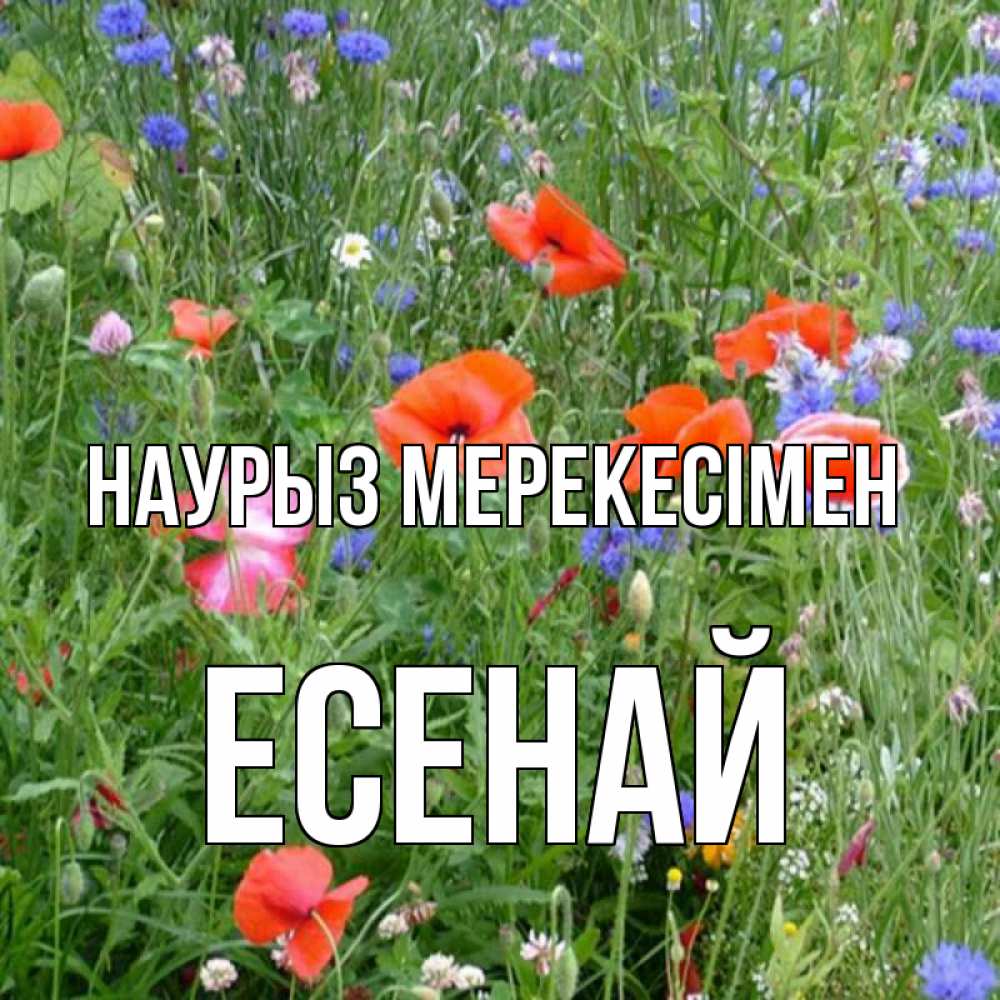Күн сайын ашық хат с именем, Есенай Наурыз мерекесімен праздник весны наурыз супер открытка Онлайн тегін жүктеп алу тілектері бар керемет карта 
