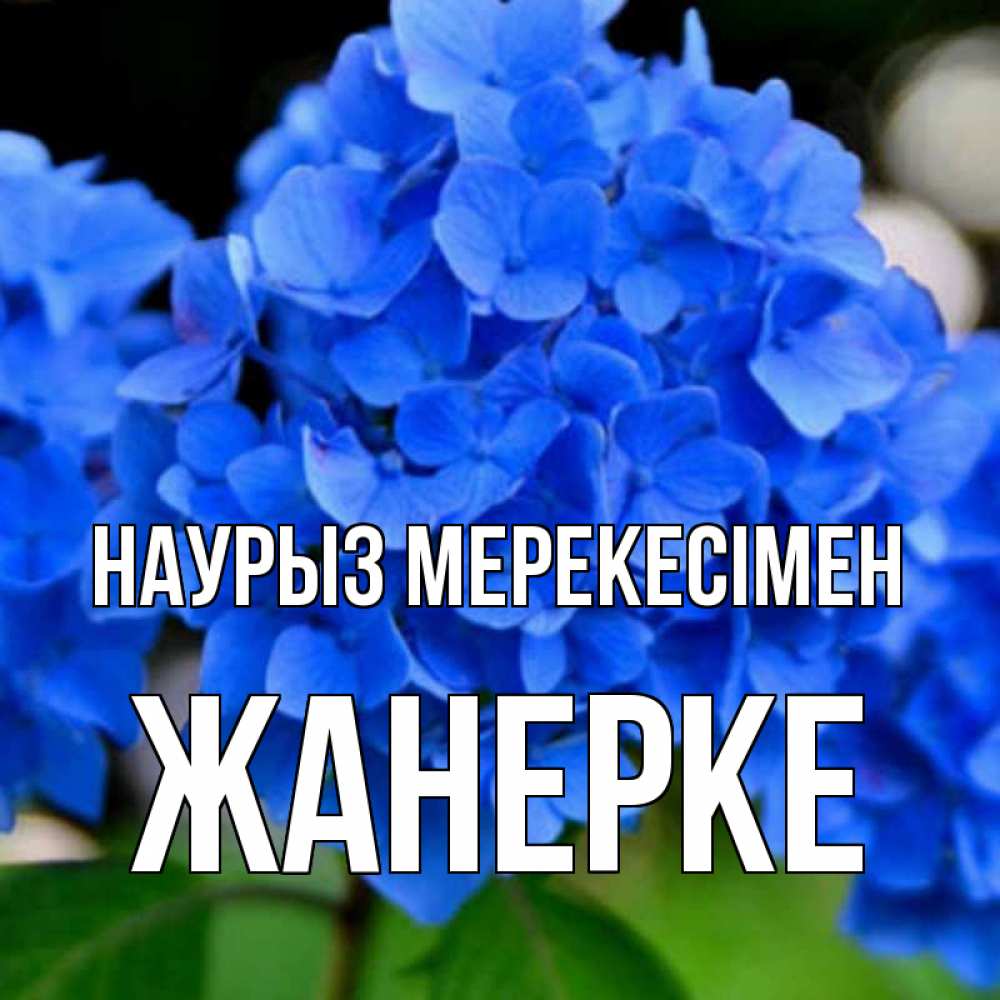 Күн сайын ашық хат с именем, ЖАНЕРКЕ Наурыз мерекесімен синие цветы Онлайн тегін жүктеп алу тілектері бар керемет карта 