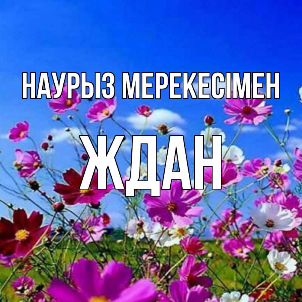Күн сайын ашық хат с именем, Ждан Наурыз мерекесімен цветы Онлайн тегін жүктеп алу тілектері бар керемет карта 