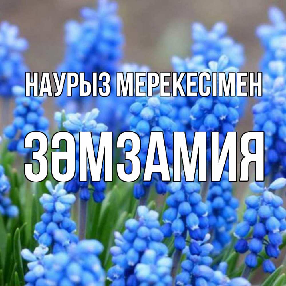 Күн сайын ашық хат с именем, ЗӘМЗАМИЯ Наурыз мерекесімен Поздравительная открытка для женщин с цветами на праздничную дату Онлайн тегін жүктеп алу тілектері бар керемет карта 