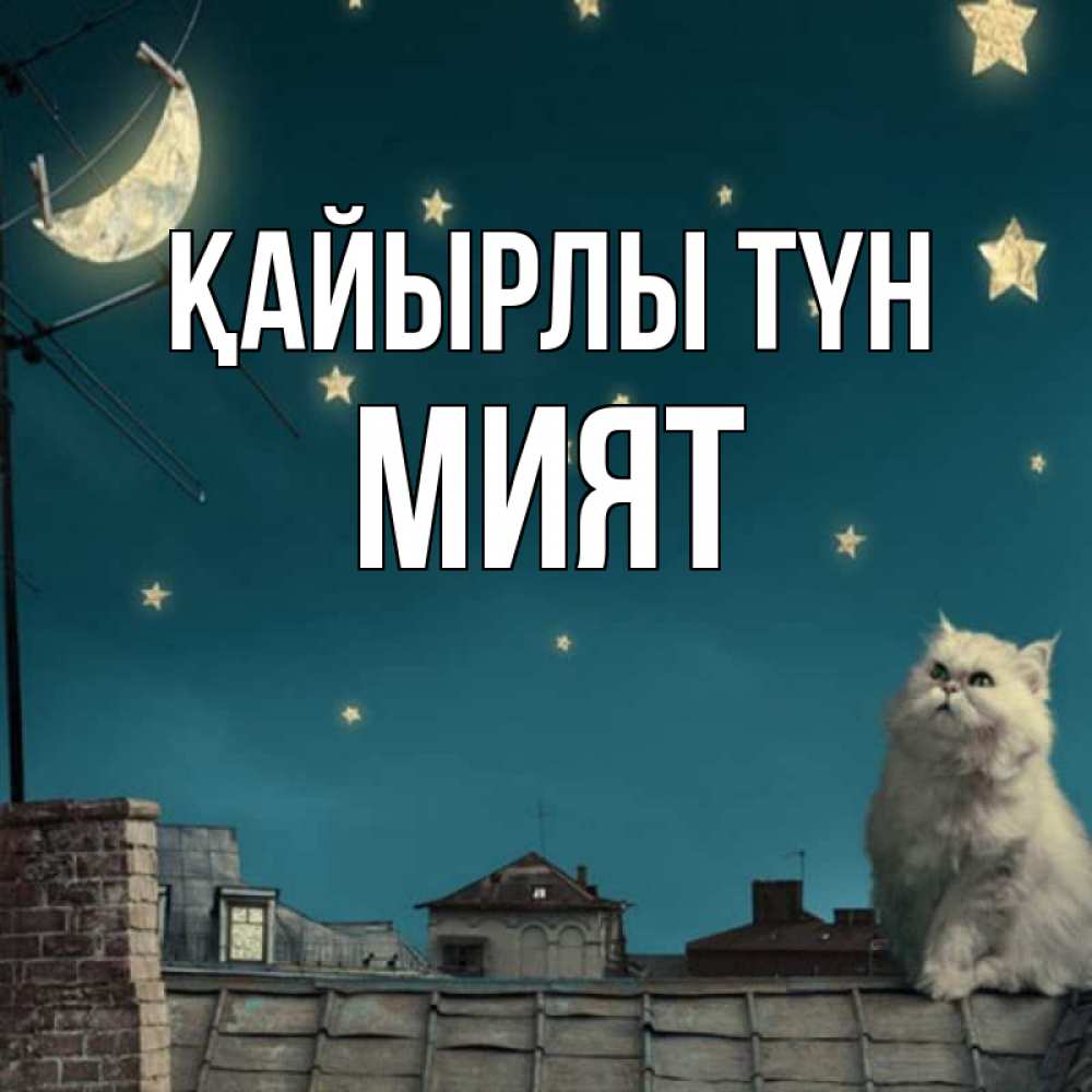 Күн сайын ашық хат с именем, МИЯТ Қайырлы түн белый кот сидит на крыше Онлайн тегін жүктеп алу тілектері бар керемет карта 