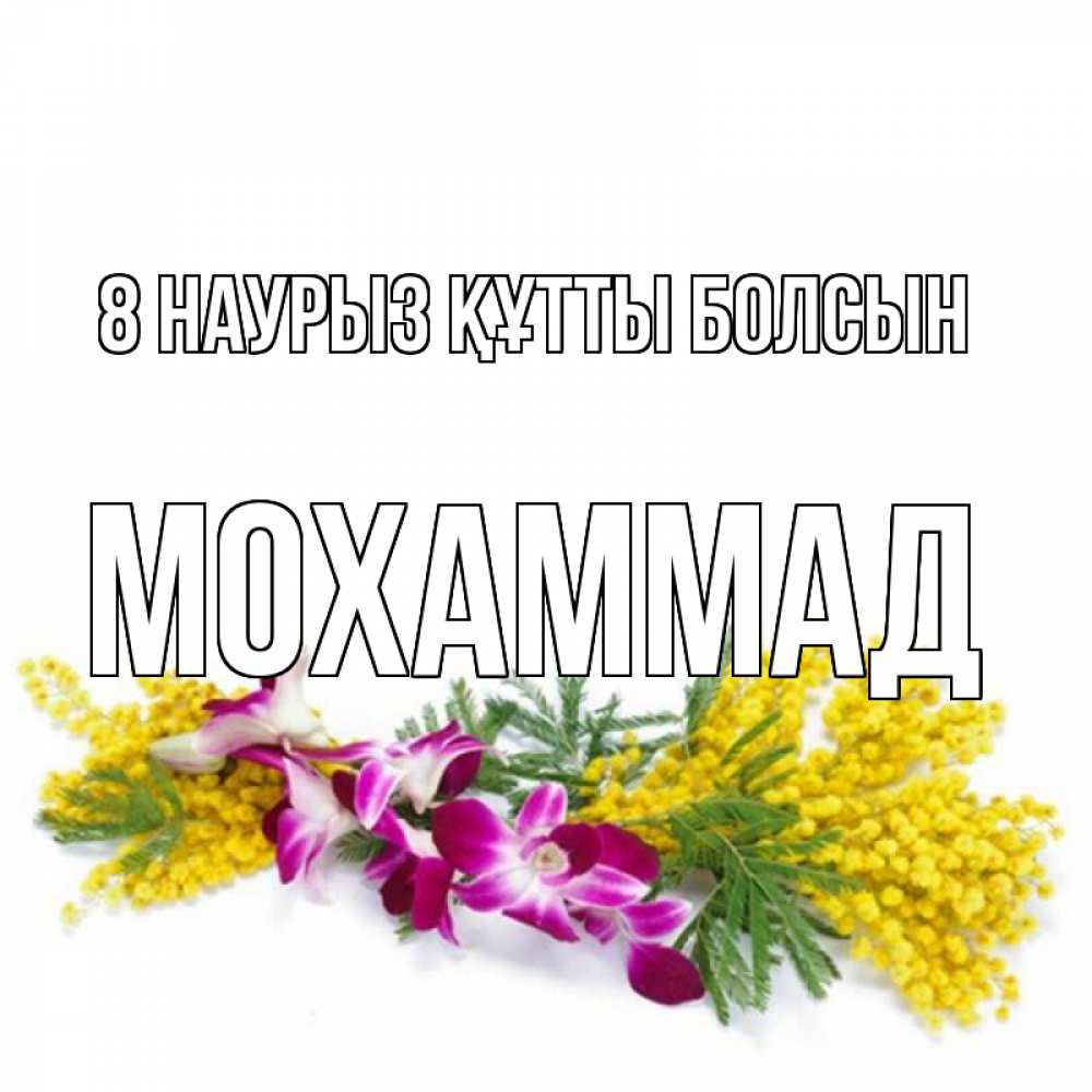 Күн сайын ашық хат с именем, Мохаммад 8 наурыз құтты болсын открытка на международный женский день с цветами  1 Онлайн тегін жүктеп алу тілектері бар керемет карта 