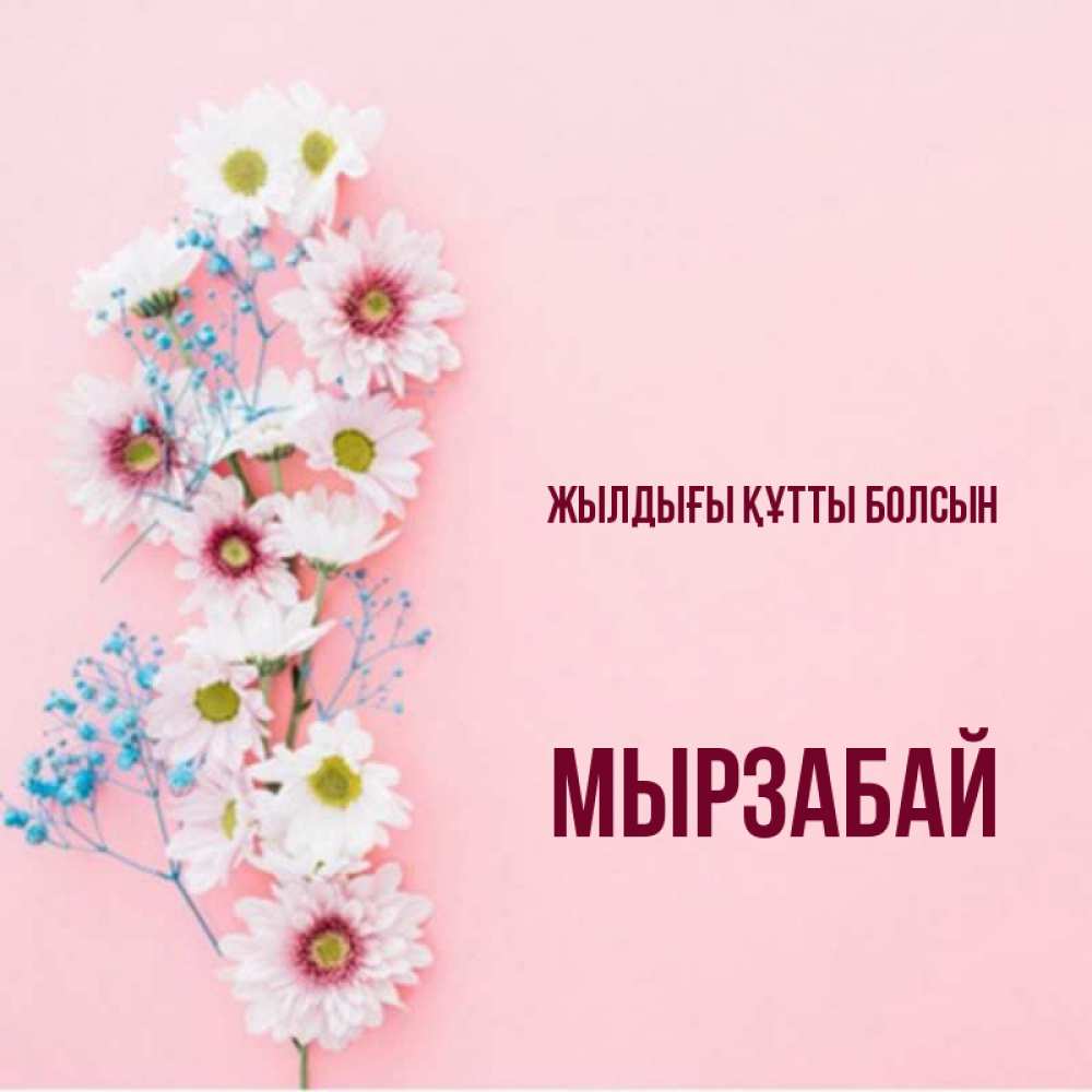 Күн сайын ашық хат с именем, Мырзабай Жылдығы құтты болсын Родная моя с днем рождения тебя картинка с цветами белыми и голубыми Онлайн тегін жүктеп алу тілектері бар керемет карта 