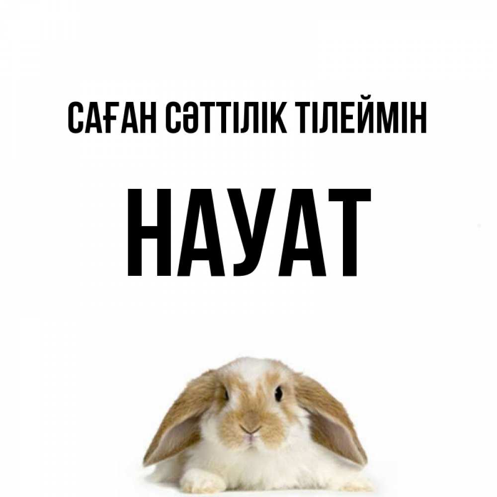 Күн сайын ашық хат с именем, НАУАТ Саған сәттілік тілеймін открытки с произвольным текстом который можно вставить в открытку и создать ее самостоятельно бесплатно онлайн Онлайн тегін жүктеп алу тілектері бар керемет карта 
