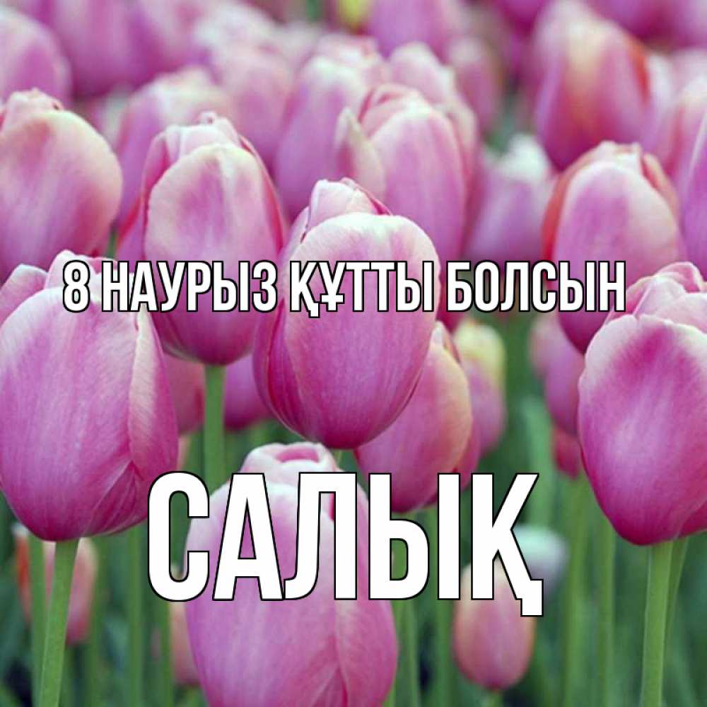 Күн сайын ашық хат с именем, САЛЫҚ 8 наурыз құтты болсын на международный женский день 3 Онлайн тегін жүктеп алу тілектері бар керемет карта 
