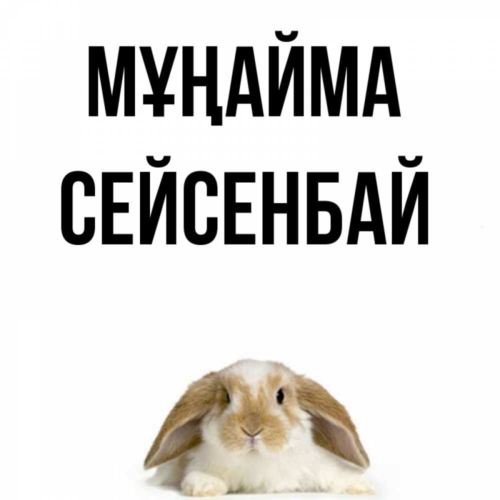 Күн сайын ашық хат с именем, СЕЙСЕНБАЙ Мұңайма коричнево белый заяц с большими ушками Онлайн тегін жүктеп алу тілектері бар керемет карта 