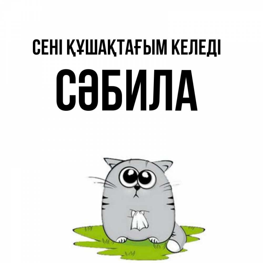 Күн сайын ашық хат с именем, СӘБИЛА сені құшақтағым келеді котик теребит платочек сидя на травке Онлайн тегін жүктеп алу тілектері бар керемет карта 