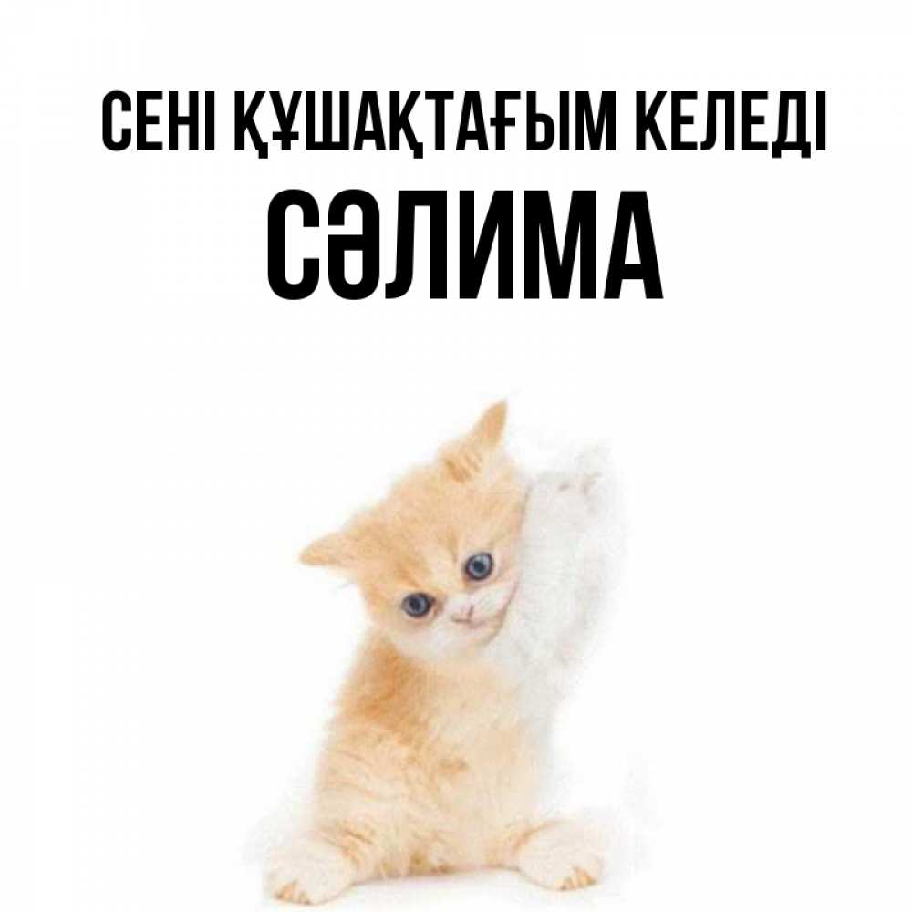 Күн сайын ашық хат с именем, СӘЛИМА сені құшақтағым келеді я хочу очень скорее обнимаешек Онлайн тегін жүктеп алу тілектері бар керемет карта 