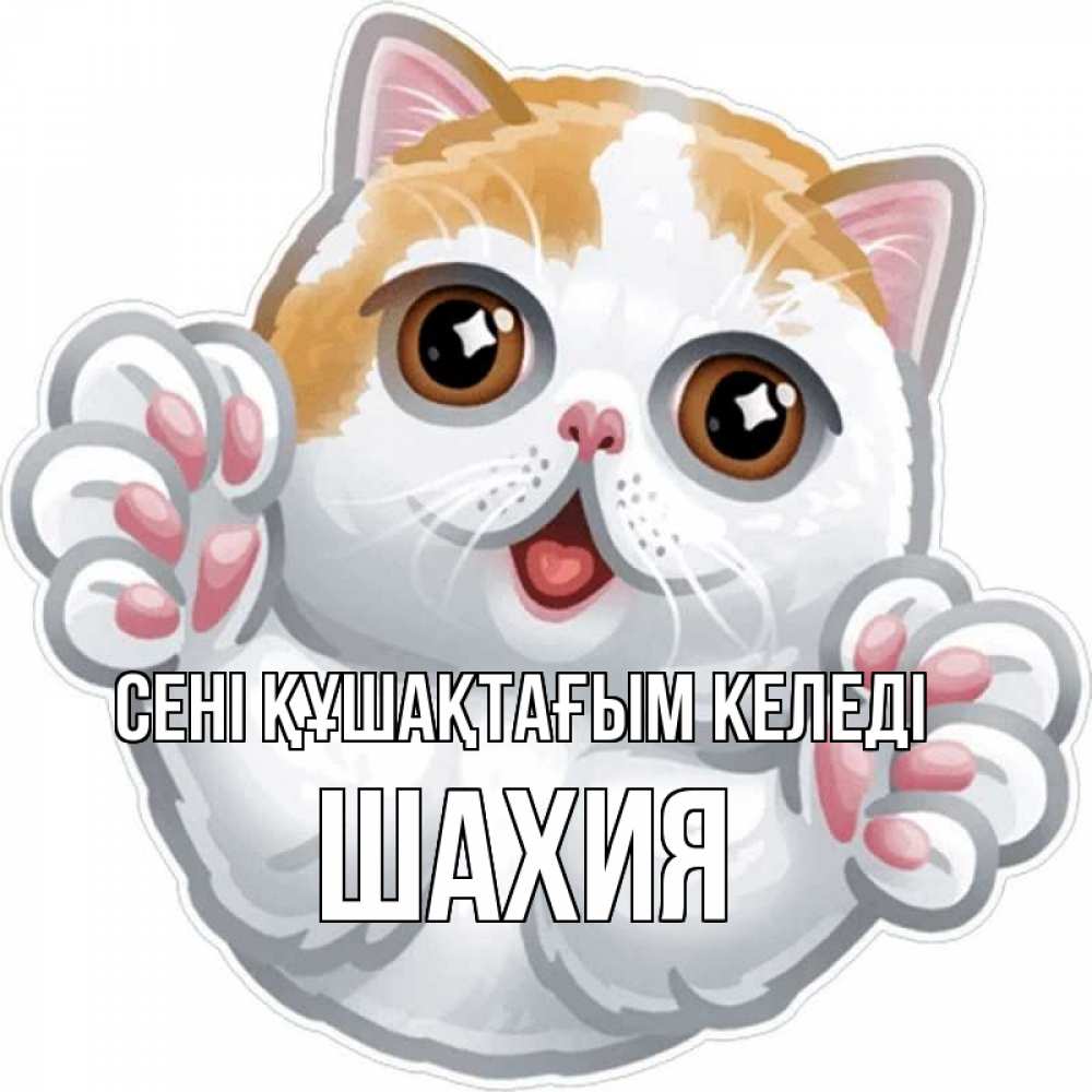 Күн сайын ашық хат с именем, ШАХИЯ сені құшақтағым келеді хаги Онлайн тегін жүктеп алу тілектері бар керемет карта 