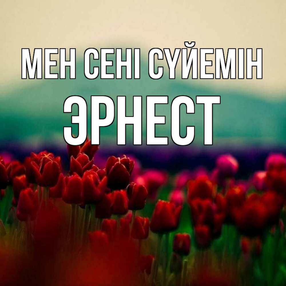 Күн сайын ашық хат с именем, Эрнест Мен сені сүйемін тюльпаны 4 Онлайн тегін жүктеп алу тілектері бар керемет карта 