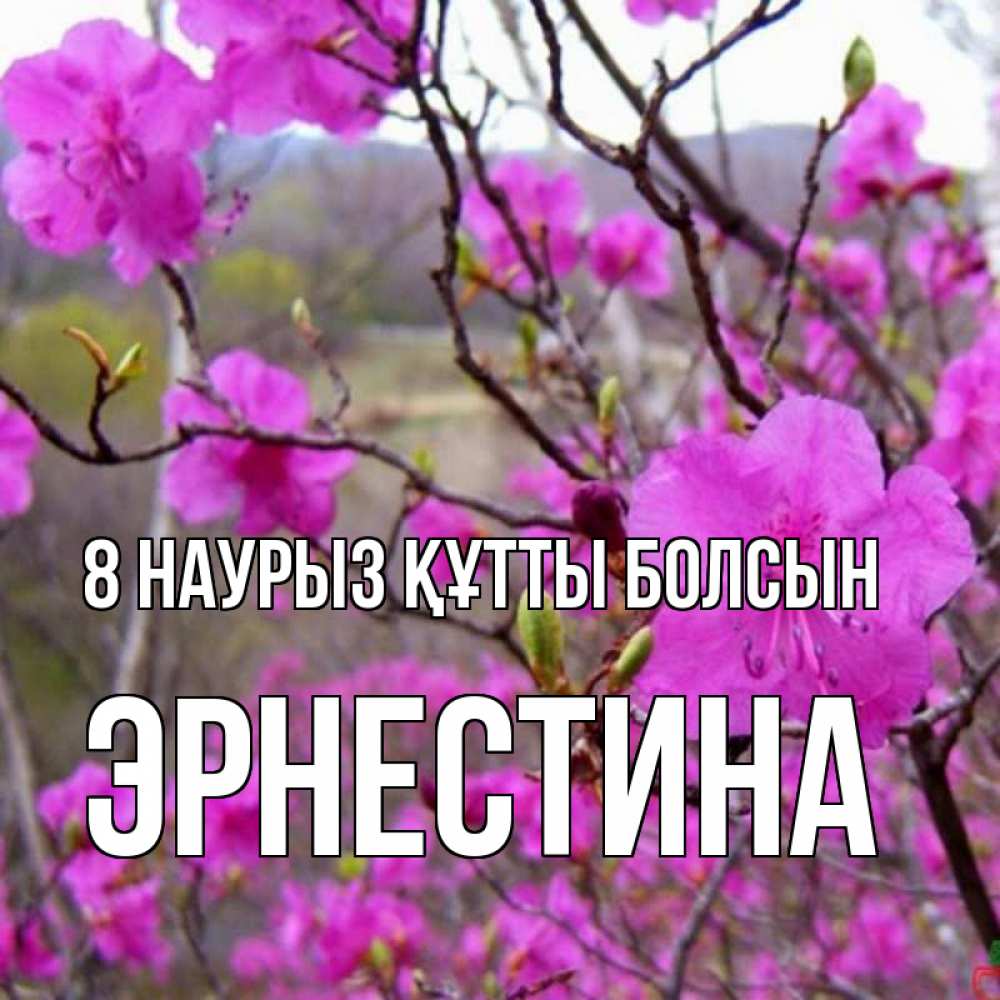 Күн сайын ашық хат с именем, Эрнестина 8 наурыз құтты болсын международный женский день Онлайн тегін жүктеп алу тілектері бар керемет карта 
