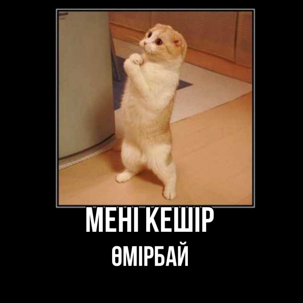 Күн сайын ашық хат с именем, ӨМІРБАЙ Мені кешір открытка с милым несчастным котиком просящим прощения Онлайн тегін жүктеп алу тілектері бар керемет карта 