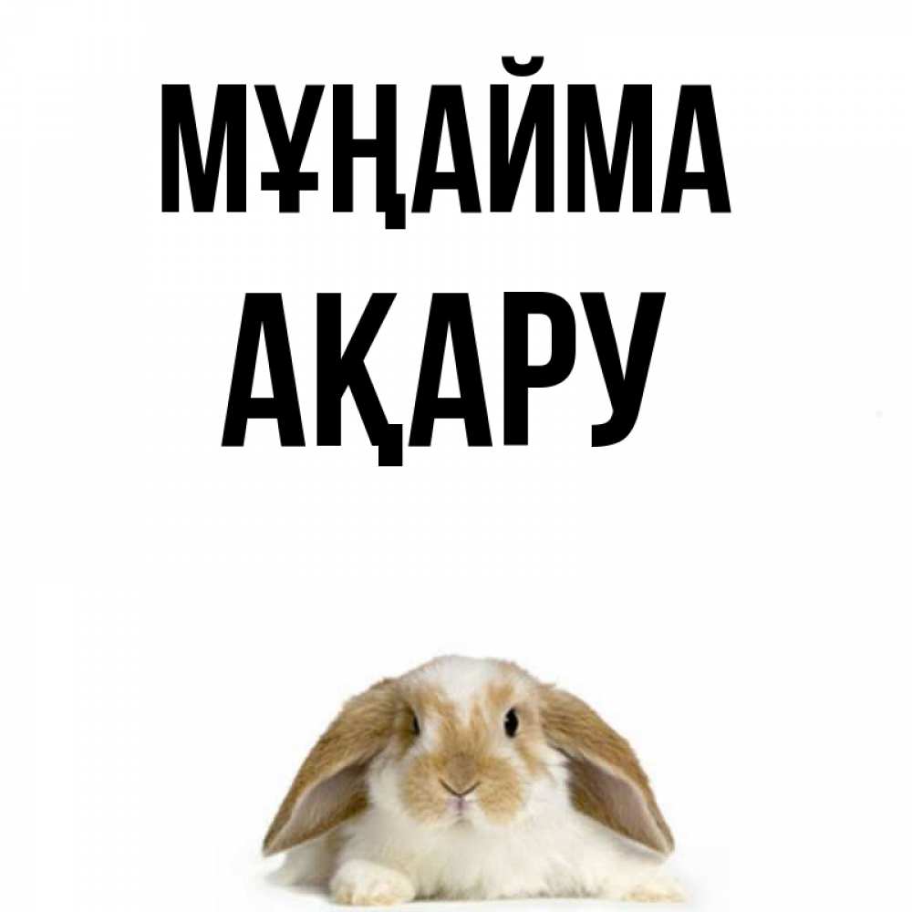 Күн сайын ашық хат с именем, АҚАРУ Мұңайма коричнево белый заяц с большими ушками Онлайн тегін жүктеп алу тілектері бар керемет карта 