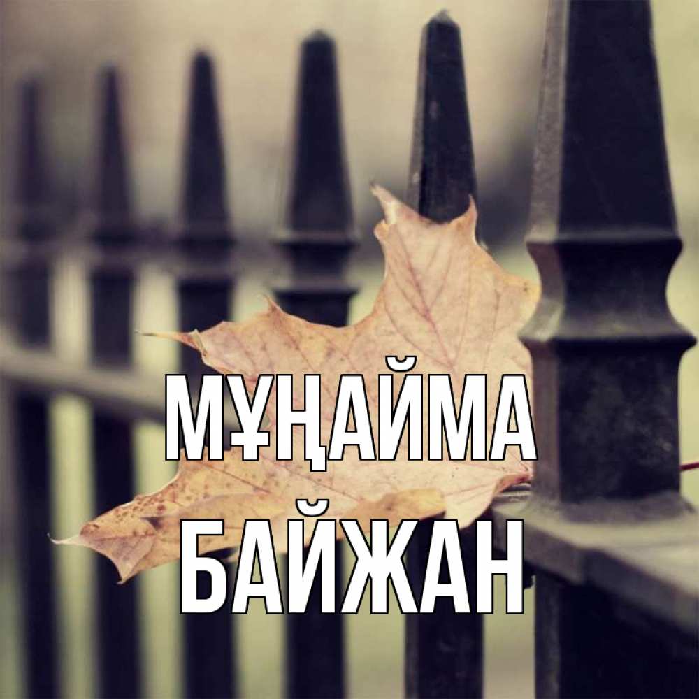 Күн сайын ашық хат с именем, Байжан Мұңайма лист клена Онлайн тегін жүктеп алу тілектері бар керемет карта 