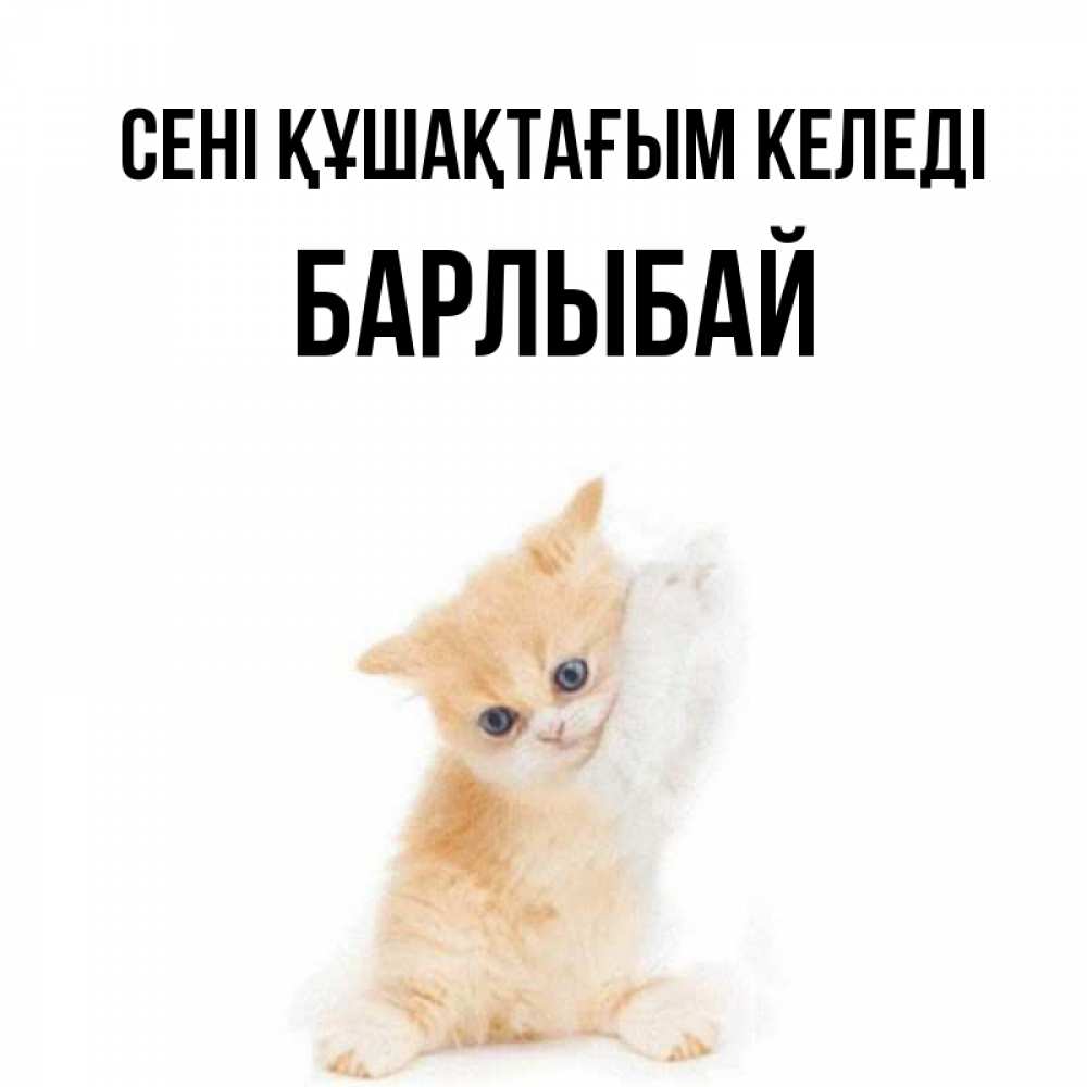 Күн сайын ашық хат с именем, Барлыбай сені құшақтағым келеді я хочу очень скорее обнимаешек Онлайн тегін жүктеп алу тілектері бар керемет карта 