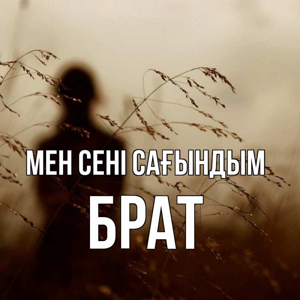 Күн сайын ашық хат с именем, Брат Мен сені сағындым силуэт девушки Онлайн тегін жүктеп алу тілектері бар керемет карта 