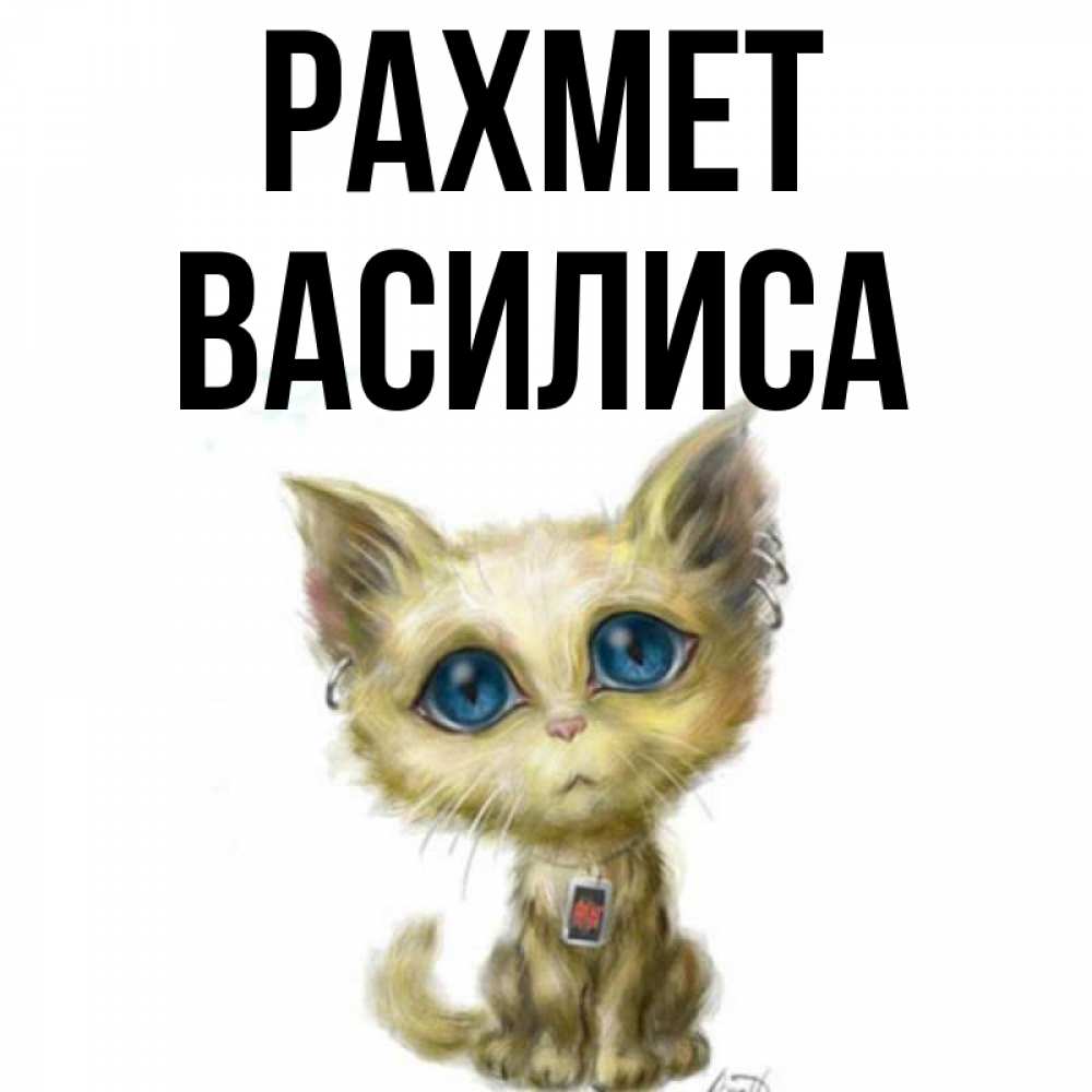 Күн сайын ашық хат с именем, Василиса рахмет рисованный кот благодарит вас Онлайн тегін жүктеп алу тілектері бар керемет карта 