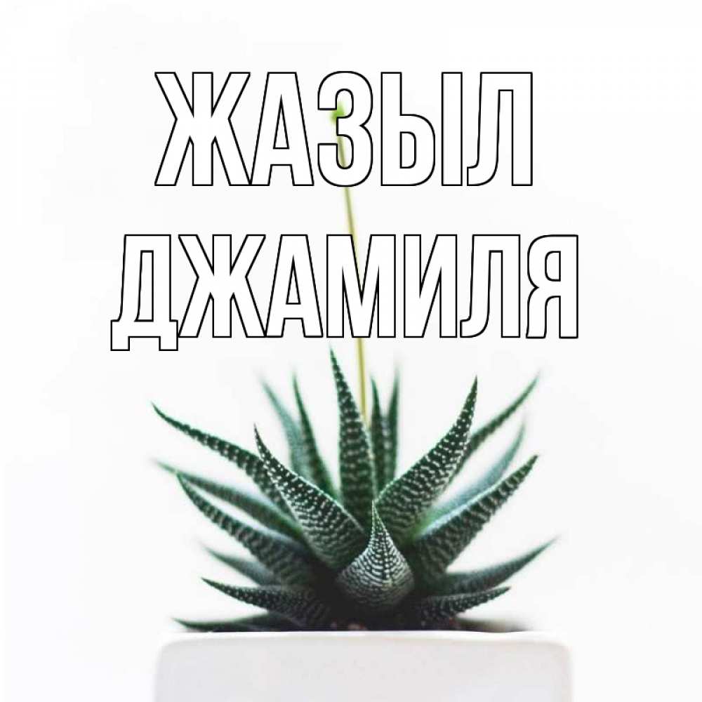 Күн сайын ашық хат с именем, Джамиля Жазыл короче это непонятная колючка Онлайн тегін жүктеп алу тілектері бар керемет карта 
