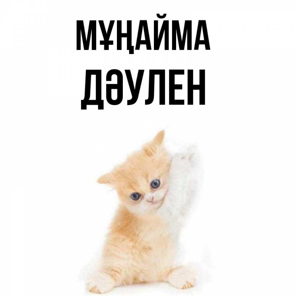 Күн сайын ашық хат с именем, Дәулен Мұңайма просящий кот Онлайн тегін жүктеп алу тілектері бар керемет карта 