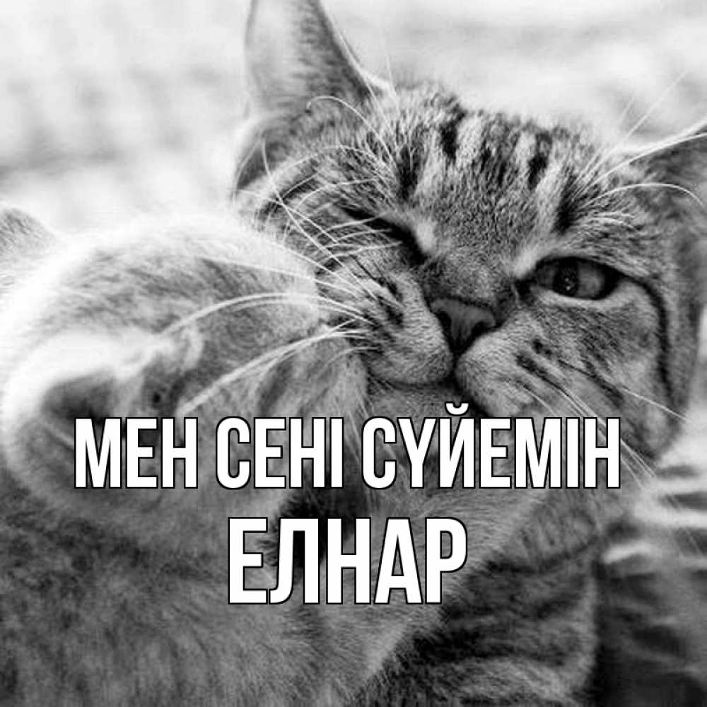 Күн сайын ашық хат с именем, Елнар Мен сені сүйемін коты Онлайн тегін жүктеп алу тілектері бар керемет карта 