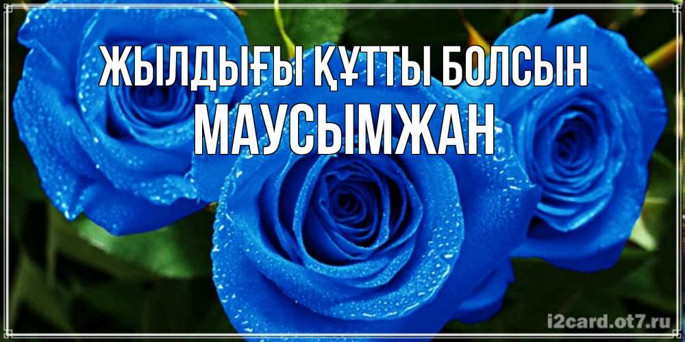 Күн сайын ашық хат с именем, МАУСЫМЖАН Жылдығы құтты болсын розы с синим цветом Онлайн тегін жүктеп алу тілектері бар керемет карта 