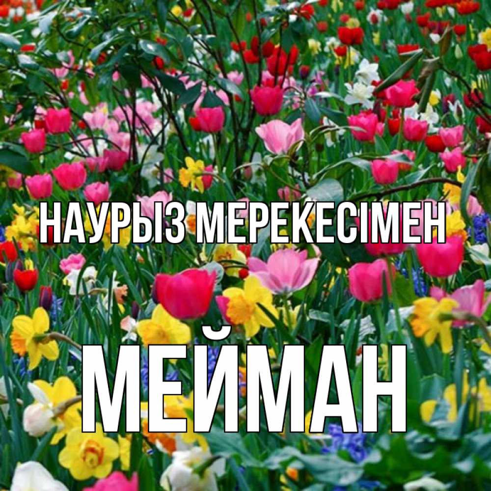 Күн сайын ашық хат с именем, МЕЙМАН Наурыз мерекесімен с наурызом праздником весны поздравления для женщины Онлайн тегін жүктеп алу тілектері бар керемет карта 