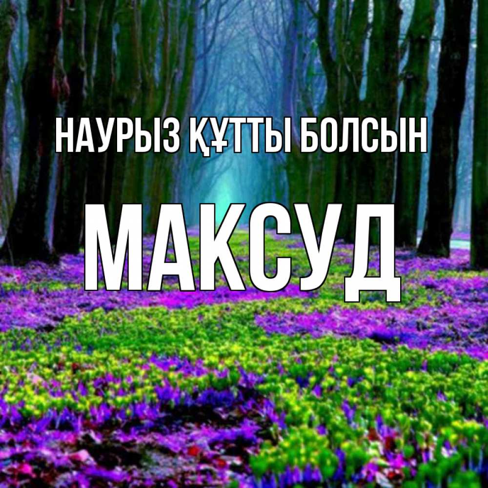 Күн сайын ашық хат с именем, Максуд Наурыз құтты болсын фиолетовые цветы в лесу 1 Онлайн тегін жүктеп алу тілектері бар керемет карта 