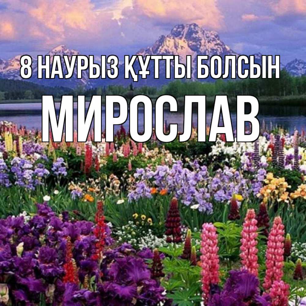 Күн сайын ашық хат с именем, Мирослав 8 наурыз құтты болсын международный женский день Онлайн тегін жүктеп алу тілектері бар керемет карта 