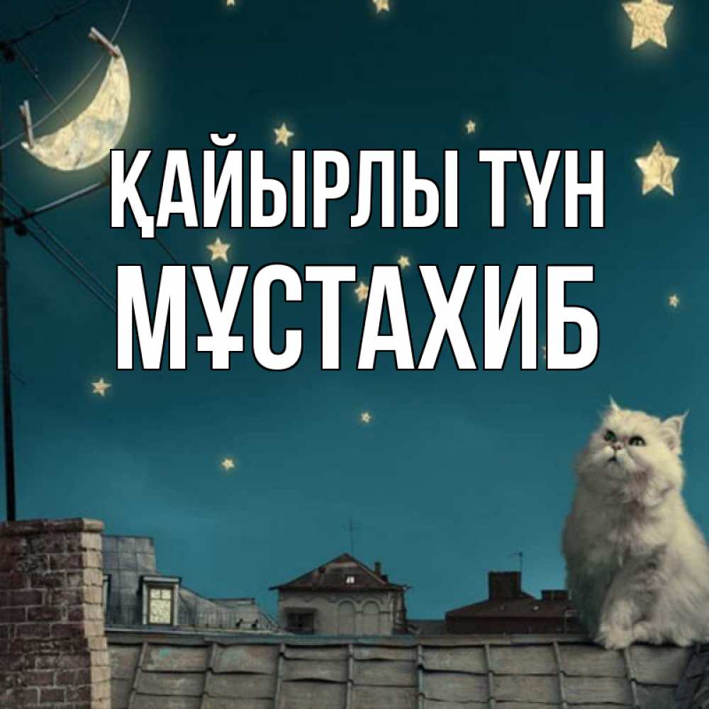 Күн сайын ашық хат с именем, МҰСТАХИБ Қайырлы түн белый кот сидит на крыше Онлайн тегін жүктеп алу тілектері бар керемет карта 