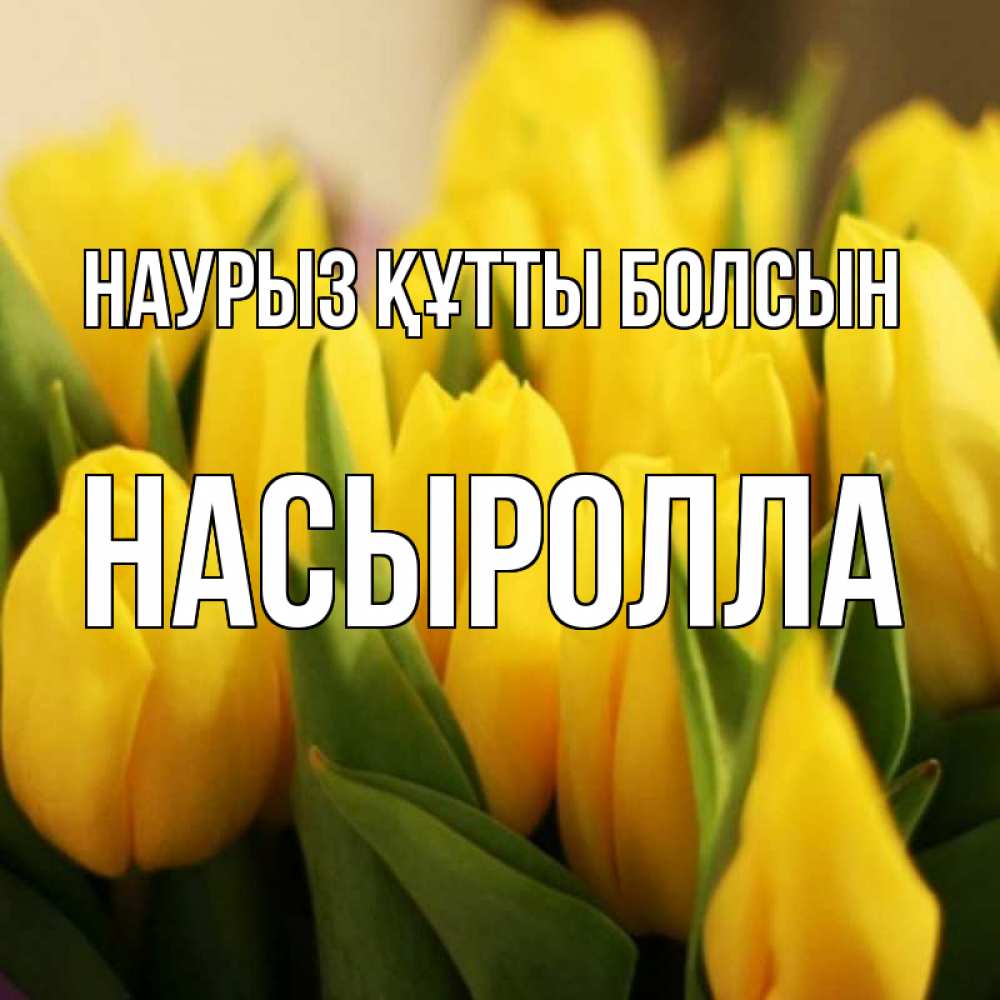 Күн сайын ашық хат с именем, Насыролла Наурыз құтты болсын цветы Онлайн тегін жүктеп алу тілектері бар керемет карта 