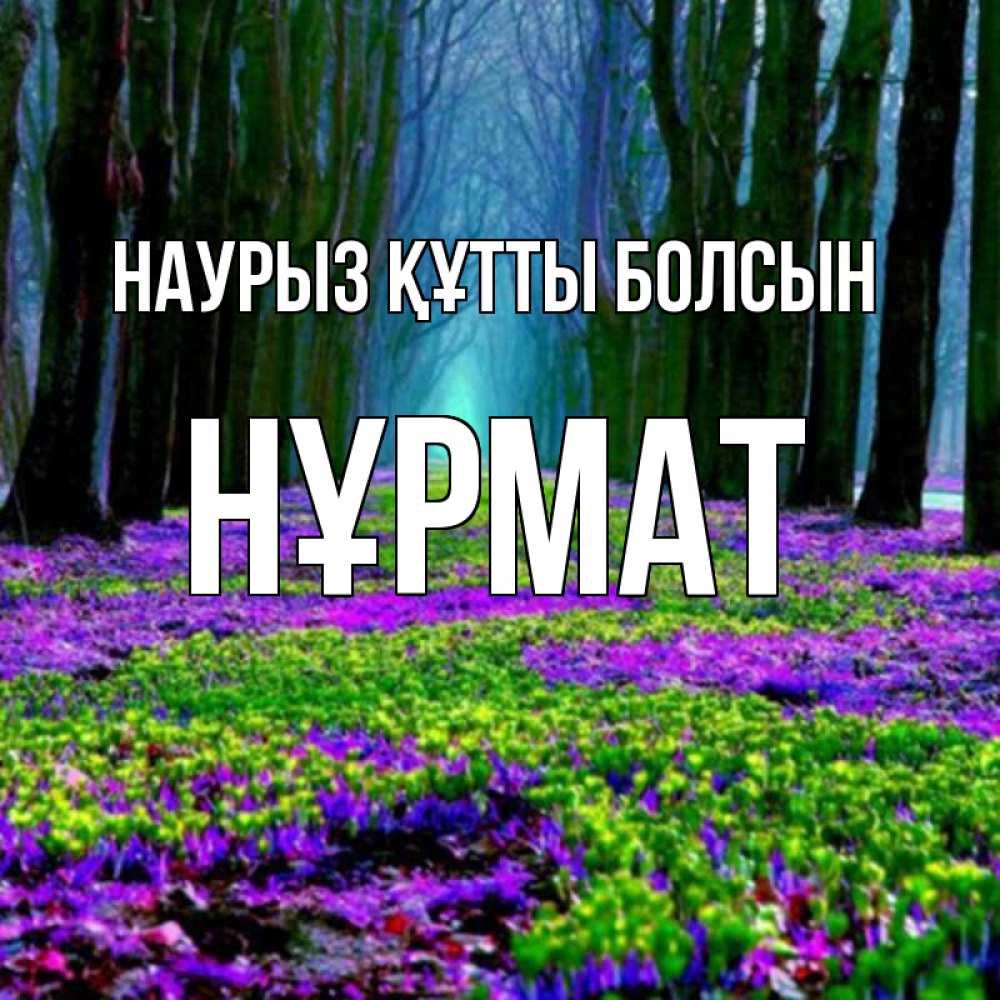 Күн сайын ашық хат с именем, Нұрмат Наурыз құтты болсын фиолетовые цветы в лесу 1 Онлайн тегін жүктеп алу тілектері бар керемет карта 