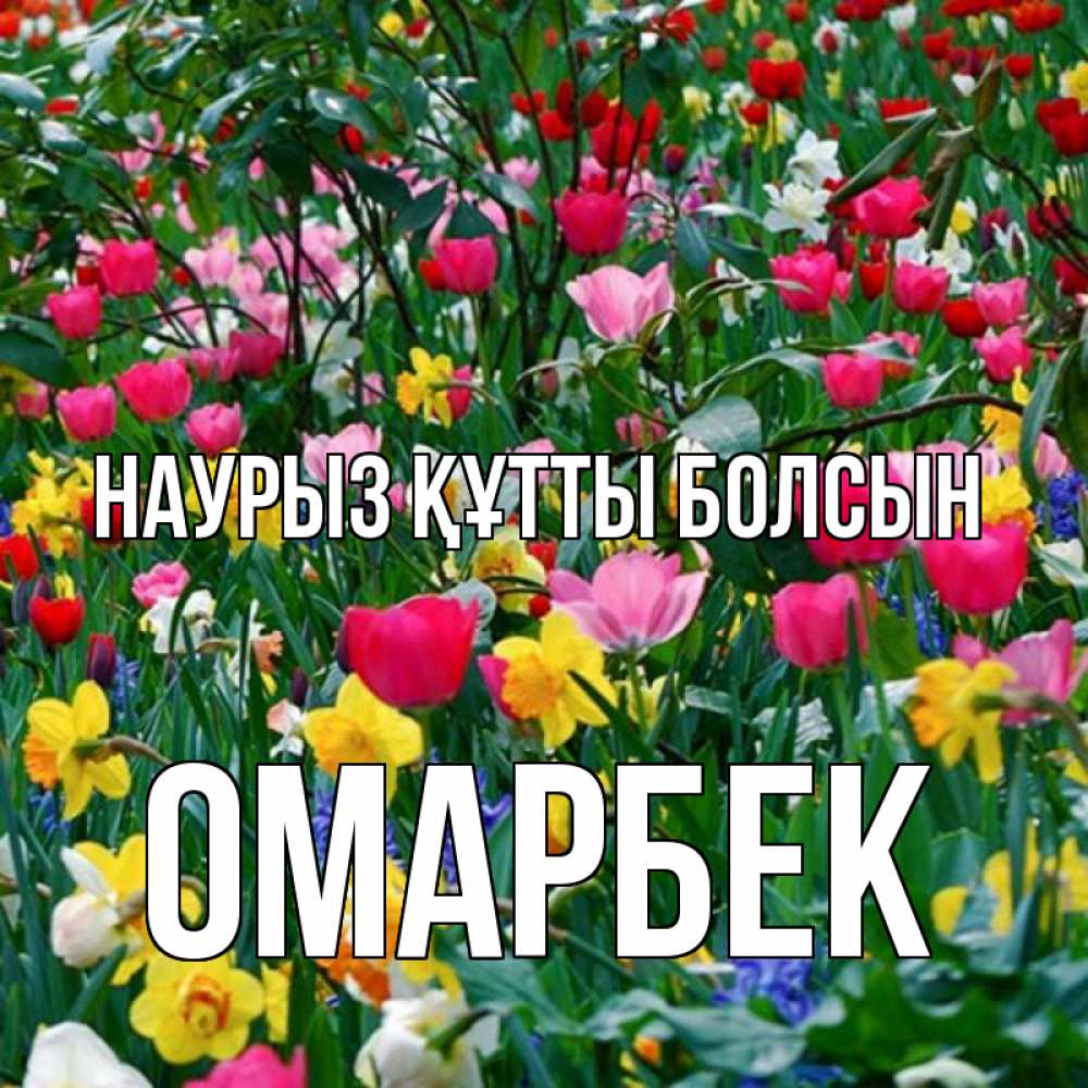 Күн сайын ашық хат с именем, ОМАРБЕК Наурыз құтты болсын с наурызом поздравления для женщины Онлайн тегін жүктеп алу тілектері бар керемет карта 