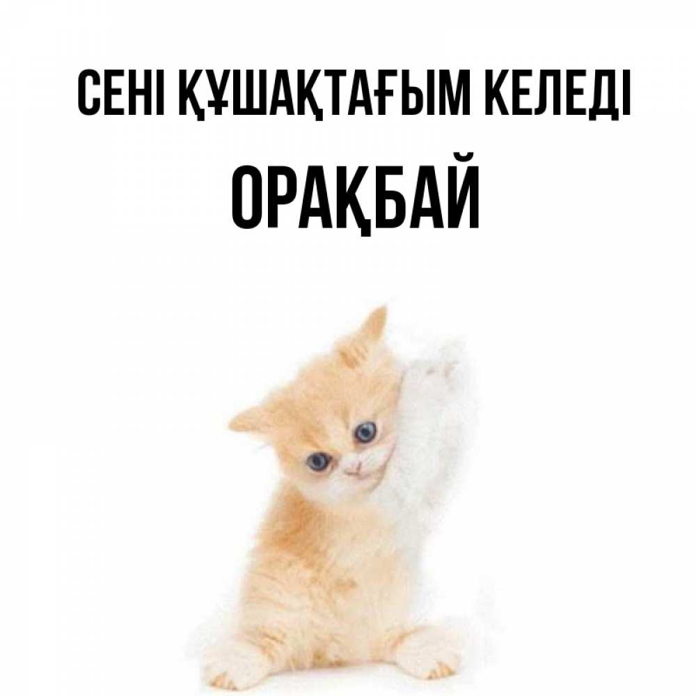Күн сайын ашық хат с именем, ОРАҚБАЙ сені құшақтағым келеді я хочу очень скорее обнимаешек Онлайн тегін жүктеп алу тілектері бар керемет карта 