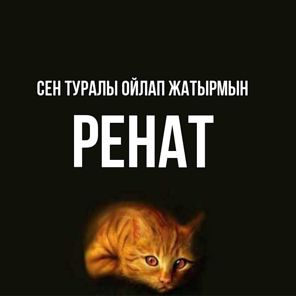 Күн сайын ашық хат с именем, РЕНАТ Сен туралы ойлап жатырмын рыжий Онлайн тегін жүктеп алу тілектері бар керемет карта 