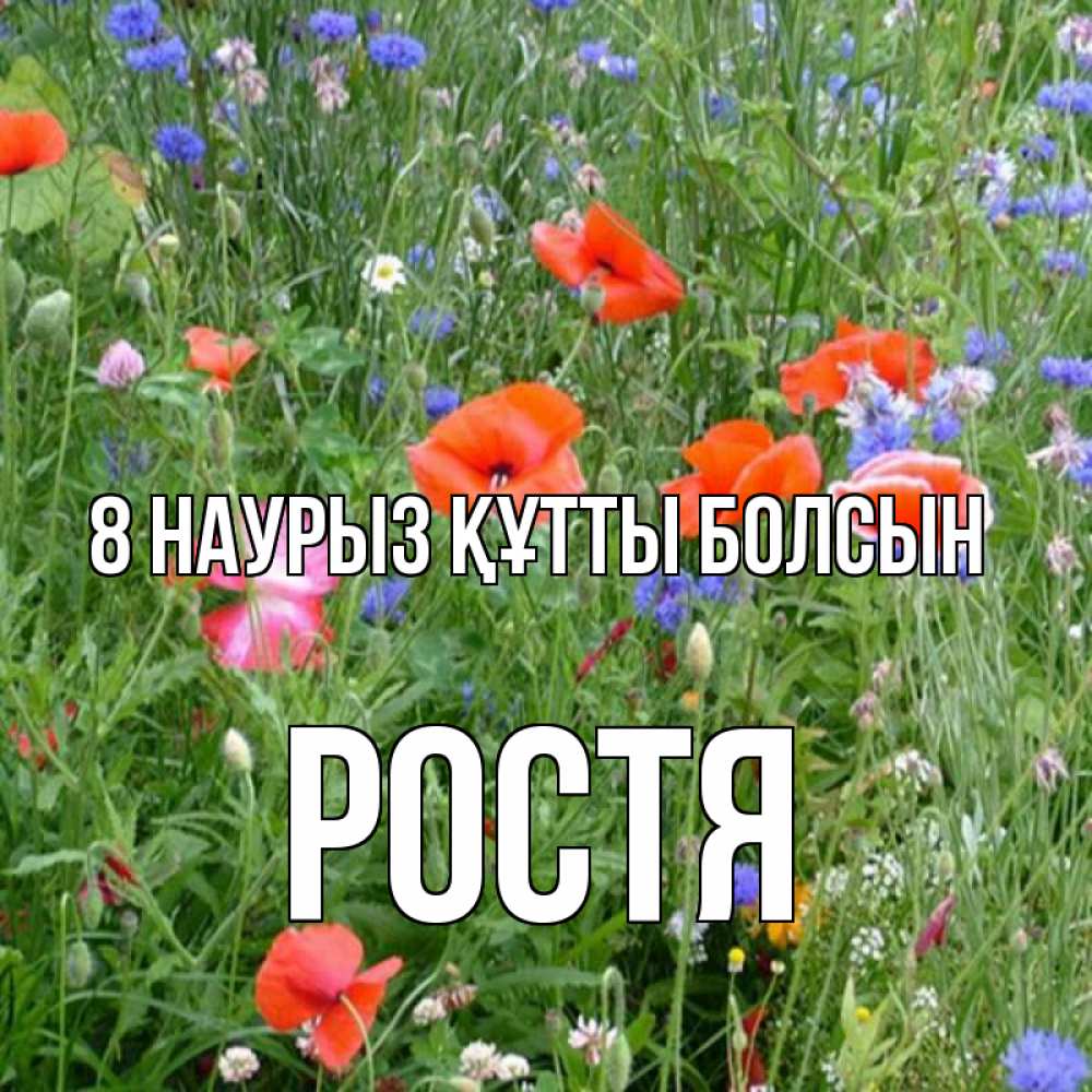 Күн сайын ашық хат с именем, Ростя 8 наурыз құтты болсын международный женский день 4 Онлайн тегін жүктеп алу тілектері бар керемет карта 