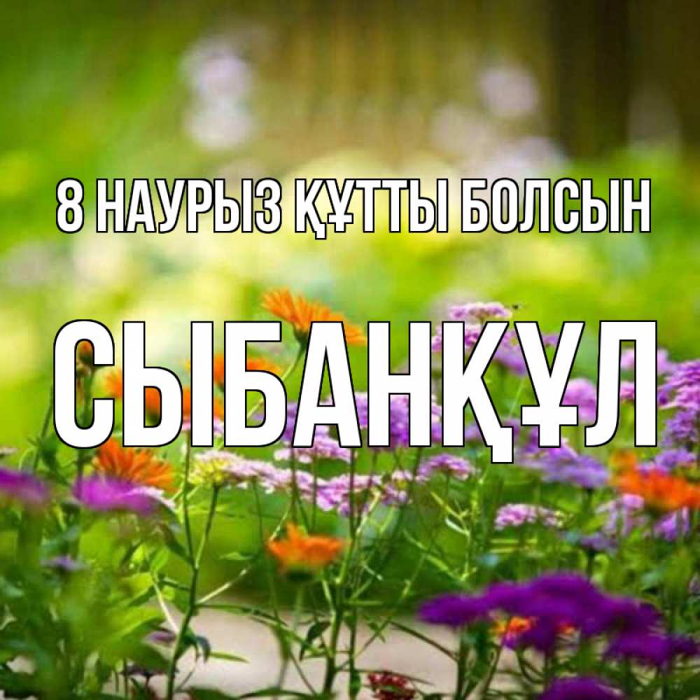 Күн сайын ашық хат с именем, СЫБАНҚҰЛ 8 наурыз құтты болсын цветы Онлайн тегін жүктеп алу тілектері бар керемет карта 