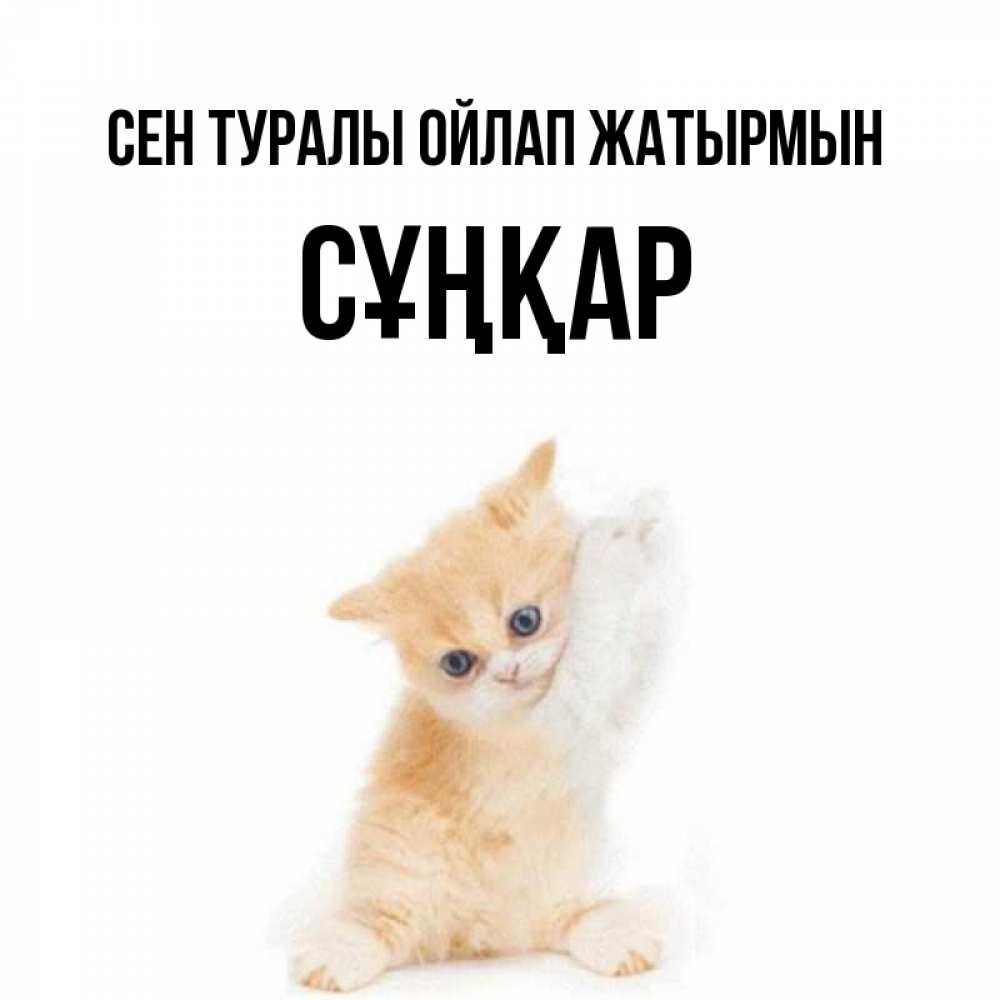 Күн сайын ашық хат с именем, СҰҢҚАР Сен туралы ойлап жатырмын зверушки и милота Онлайн тегін жүктеп алу тілектері бар керемет карта 