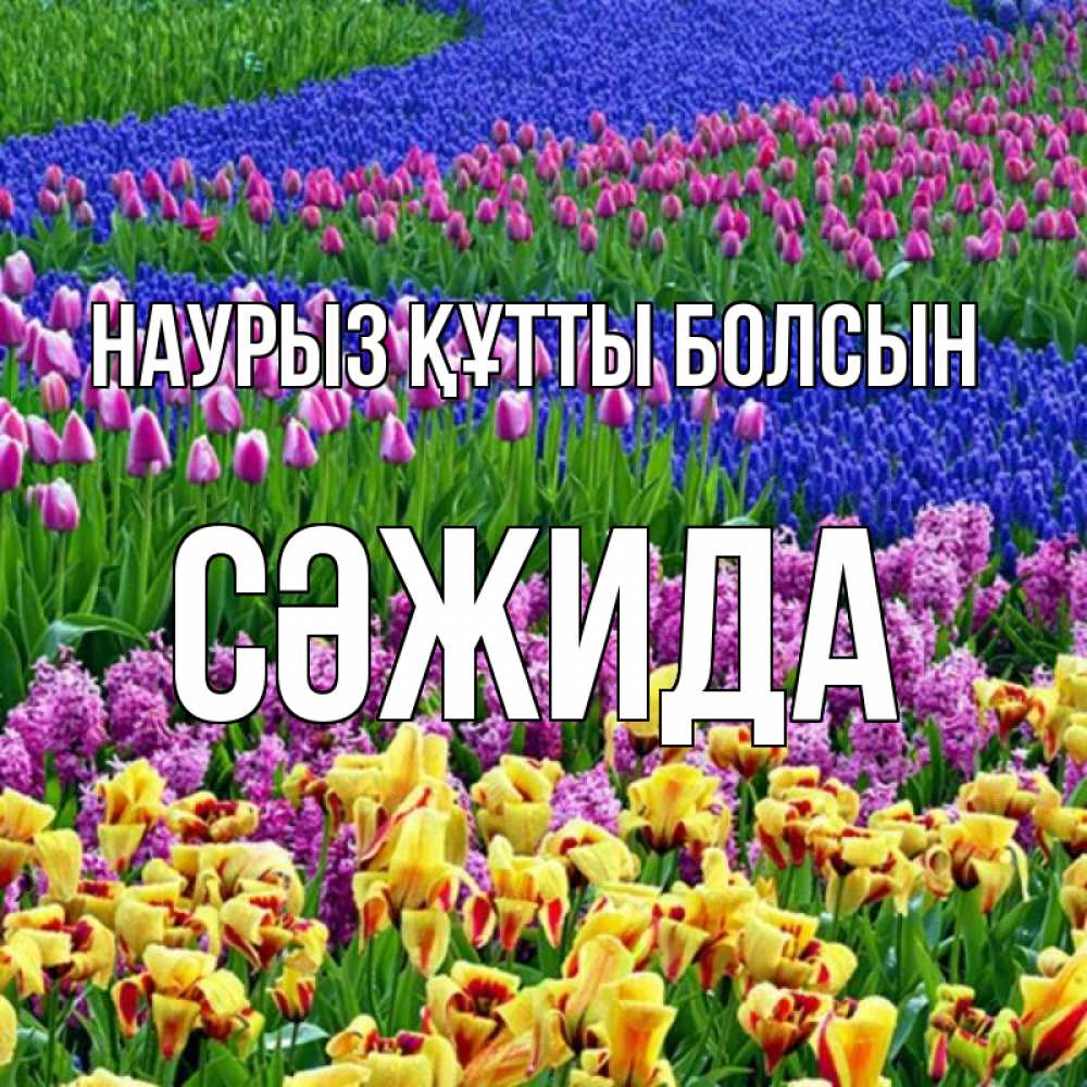 Күн сайын ашық хат с именем, СӘЖИДА Наурыз құтты болсын цветы Онлайн тегін жүктеп алу тілектері бар керемет карта 