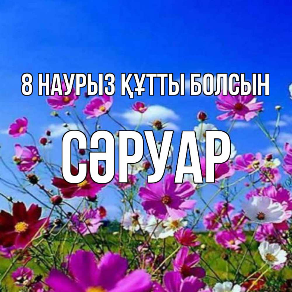 Күн сайын ашық хат с именем, СӘРУАР 8 наурыз құтты болсын цветы Онлайн тегін жүктеп алу тілектері бар керемет карта 