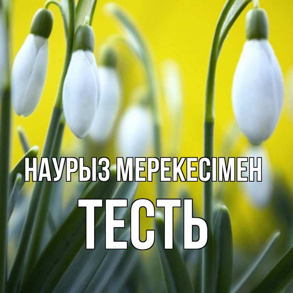 Күн сайын ашық хат с именем, Тесть Наурыз мерекесімен весенние цветы Онлайн тегін жүктеп алу тілектері бар керемет карта 