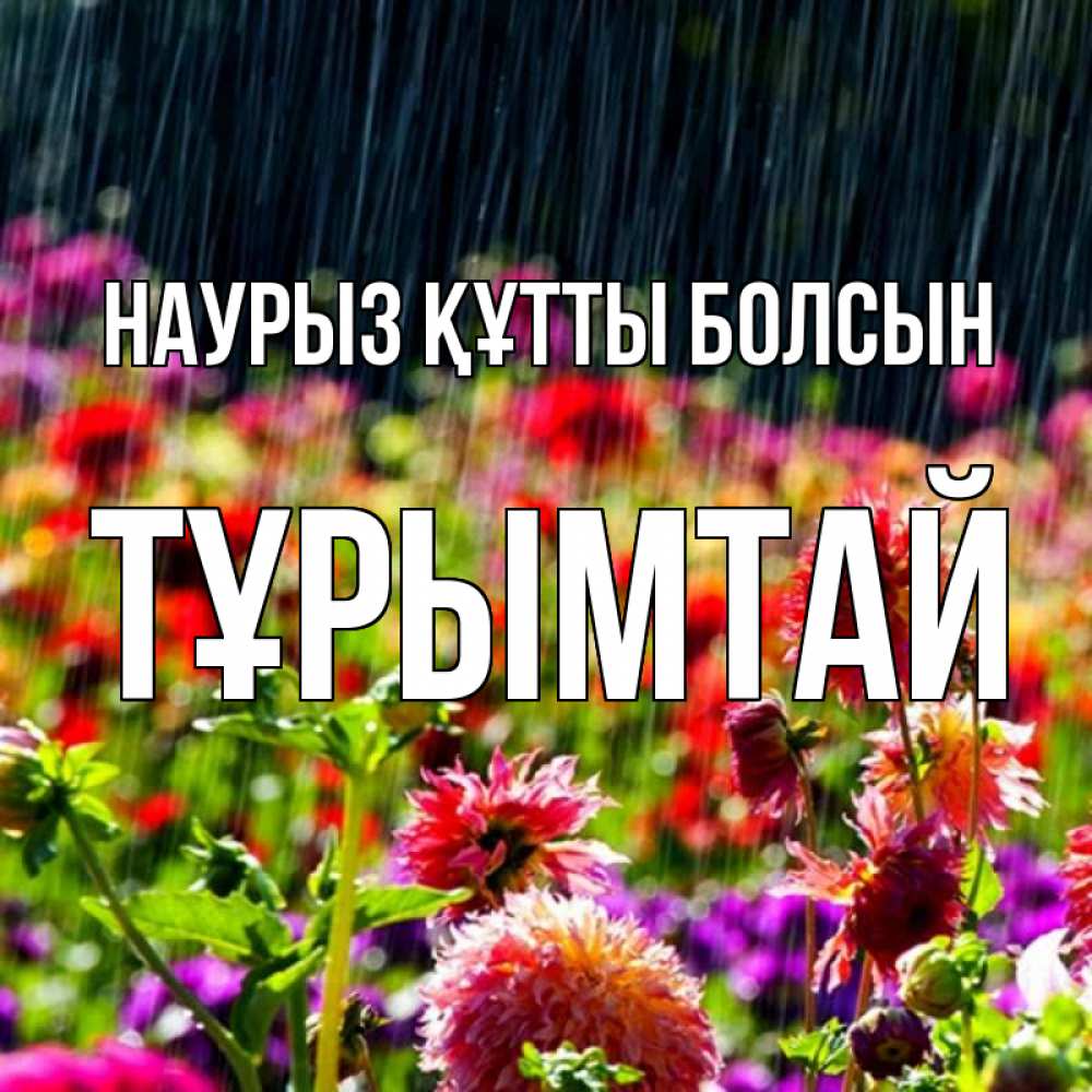 Күн сайын ашық хат с именем, ТҰРЫМТАЙ Наурыз құтты болсын цветы под дождиком к наурызу Онлайн тегін жүктеп алу тілектері бар керемет карта 