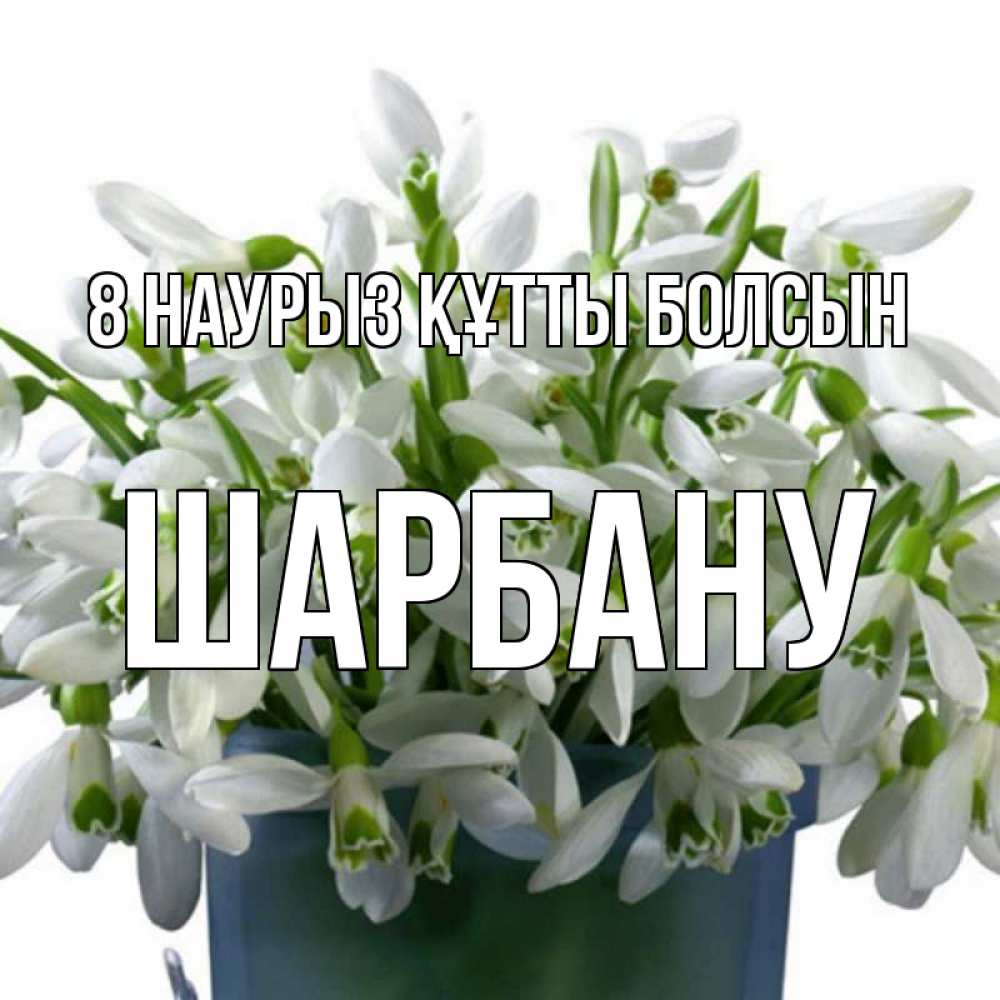 Күн сайын ашық хат с именем, ШАРБАНУ 8 наурыз құтты болсын цветы к международному женскому дню Онлайн тегін жүктеп алу тілектері бар керемет карта 