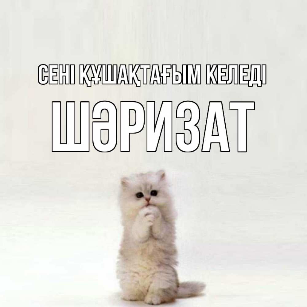 Күн сайын ашық хат с именем, ШӘРИЗАТ сені құшақтағым келеді открытки с креативными подписями Онлайн тегін жүктеп алу тілектері бар керемет карта 