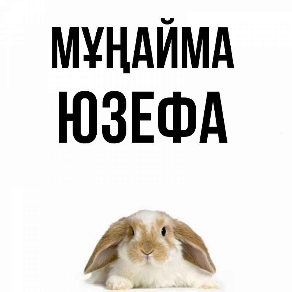 Күн сайын ашық хат с именем, Юзефа Мұңайма коричнево белый заяц с большими ушками Онлайн тегін жүктеп алу тілектері бар керемет карта 