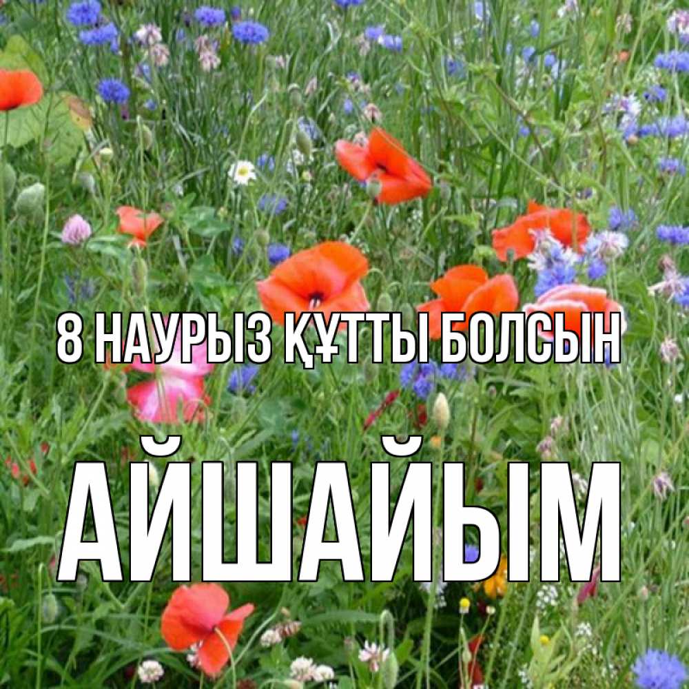 Күн сайын ашық хат с именем, АЙШАЙЫМ 8 наурыз құтты болсын международный женский день 4 Онлайн тегін жүктеп алу тілектері бар керемет карта 