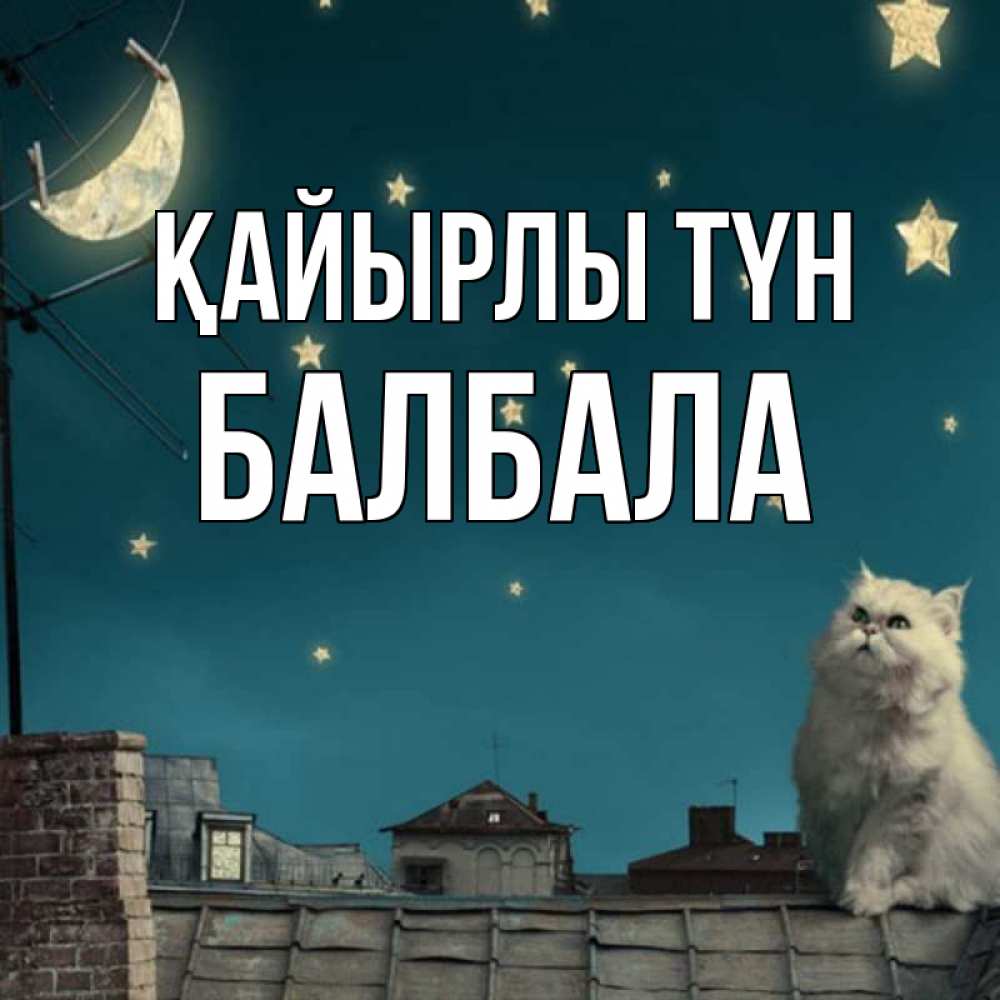 Күн сайын ашық хат с именем, БАЛБАЛА Қайырлы түн белый кот сидит на крыше Онлайн тегін жүктеп алу тілектері бар керемет карта 