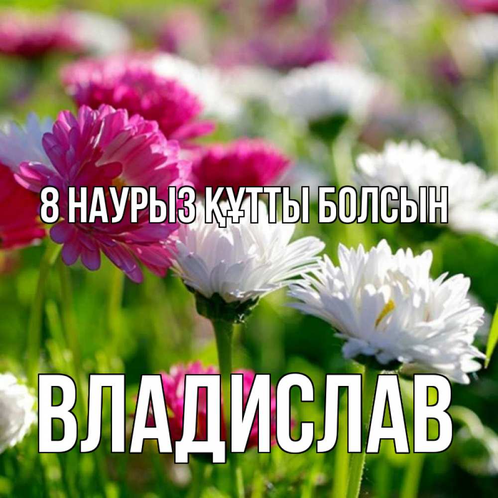 Күн сайын ашық хат с именем, Владислав 8 наурыз құтты болсын международный женский день 1 Онлайн тегін жүктеп алу тілектері бар керемет карта 