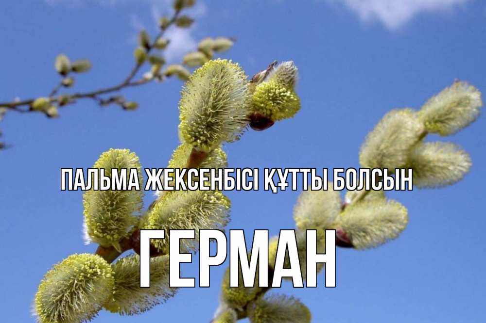 Күн сайын ашық хат с именем, Герман Пальма жексенбісі құтты болсын верба Онлайн тегін жүктеп алу тілектері бар керемет карта 