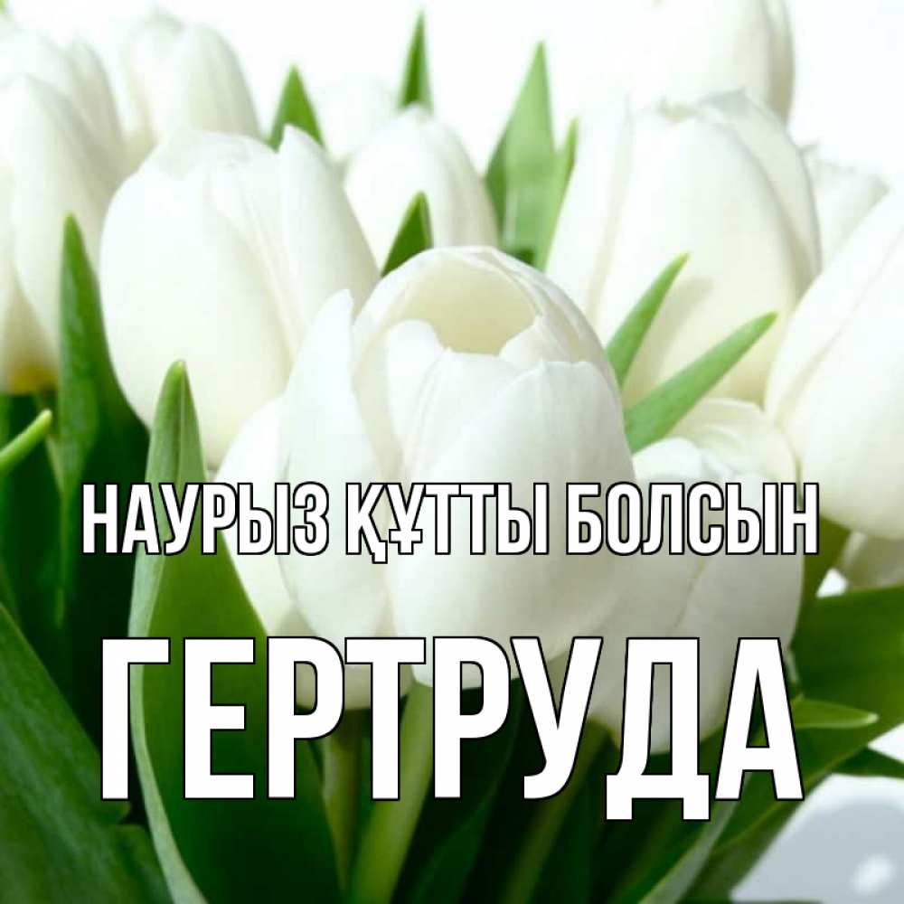Күн сайын ашық хат с именем, Гертруда Наурыз құтты болсын цветы Онлайн тегін жүктеп алу тілектері бар керемет карта 